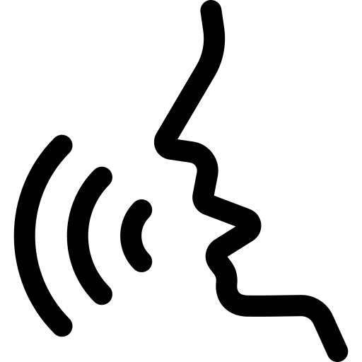Voice Logo